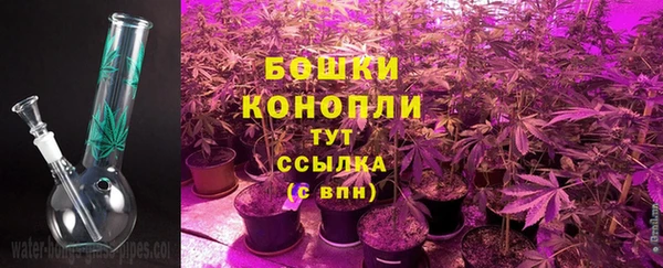 дмт Богородск