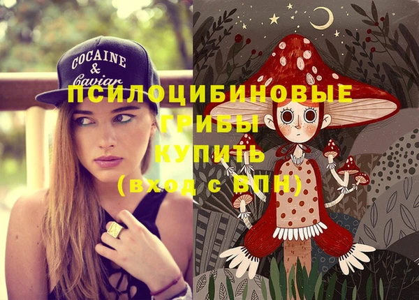 мдпв Богородицк