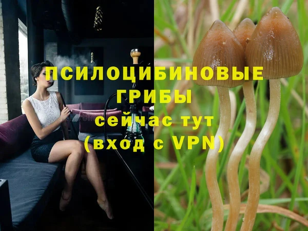 дмт Богородск