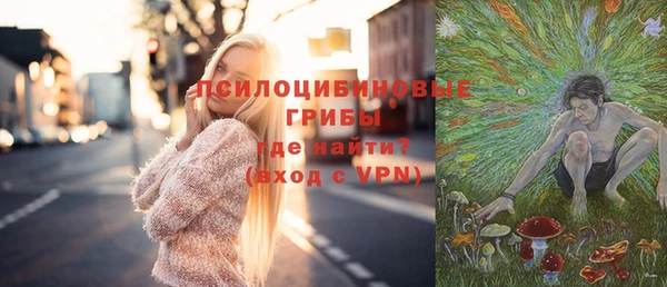 дмт Богородск